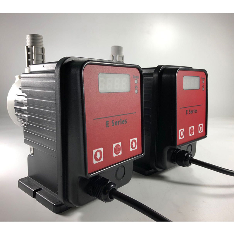 Summer beach concept