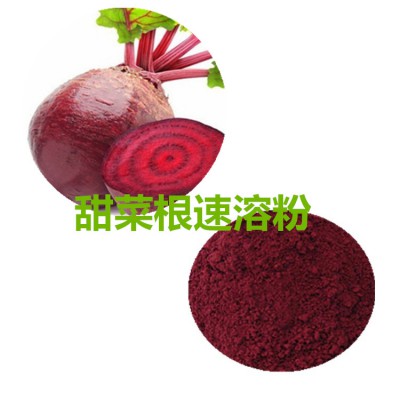 甜菜根粉  甜菜根速溶粉 甜菜根浸膏粉 甜菜根提取物