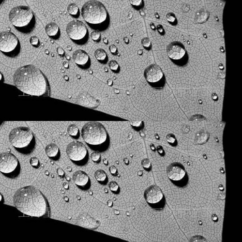 异丁基三乙氧硅烷浸渍剂 海港防腐硅烷浸泡渍剂 防水剂