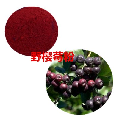 野樱莓果粉 野樱莓速溶粉 野樱莓提取物 野樱莓浸膏