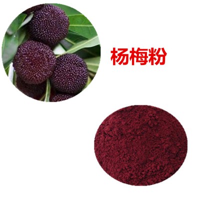 杨梅粉 杨梅速溶粉 杨梅提取物 杨梅浸膏