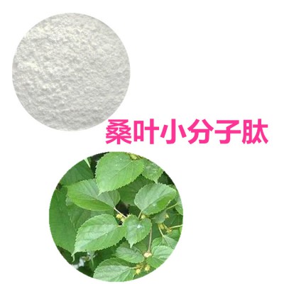 桑叶多肽  桑叶小分子肽  桑叶蛋白 桑叶肽粉