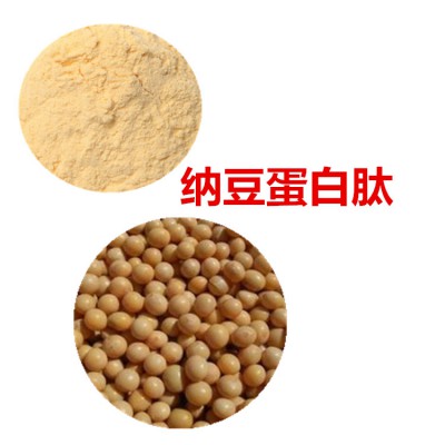 纳豆多肽  纳豆小分子肽  纳豆蛋白 纳豆蛋白肽