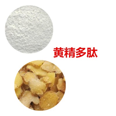 黄精多肽 黄精小分子肽  黄精蛋白 黄精蛋白肽