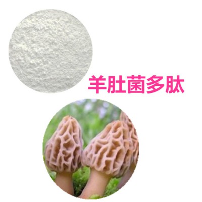 羊肚菌多肽 羊肚菌小分子肽  羊肚菌蛋白 羊肚菌蛋白肽