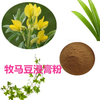 牧马豆浸膏粉 牧马豆提取物 牧马豆提取液 牧马豆粉