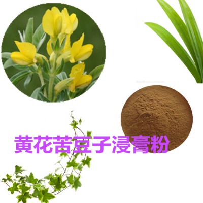 黄花苦豆子浸膏粉 黄花苦豆子提取物 黄花苦豆子粉