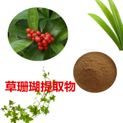 草珊瑚浸膏粉 草珊瑚提取物 草珊瑚粉 草珊瑚提取液