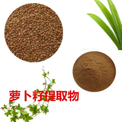 萝卜籽浸膏粉  萝卜籽提取物  萝卜籽粉  萝卜籽提取液