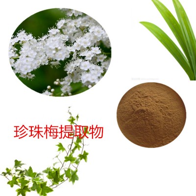 珍珠梅浸膏粉 珍珠梅提取物 珍珠梅粉  珍珠梅提取液