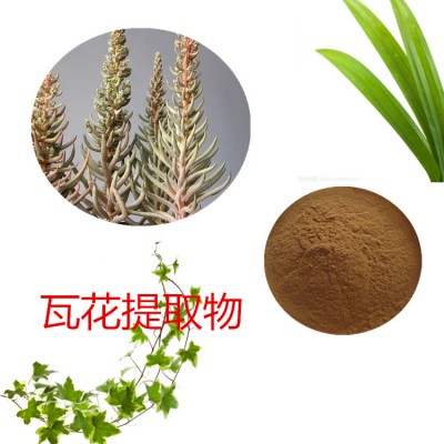 瓦花浸膏粉 瓦花提取物 瓦花粉  瓦花提取液