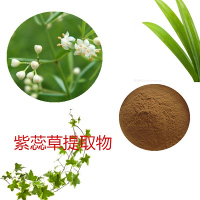 紫蕊草膏粉 紫蕊草提取物 紫蕊草粉 紫蕊草提取液