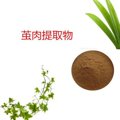 茧肉浸膏粉 茧肉提取物 茧肉粉 紫蕊草茧肉