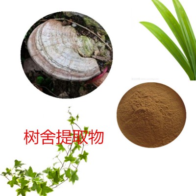 树舍浸膏粉 树舍提取物 树舍粉 树舍提取液