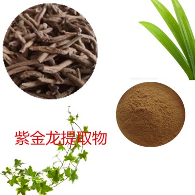 紫金龙浸膏粉 紫金龙提取物 紫金龙粉 紫金龙提取液