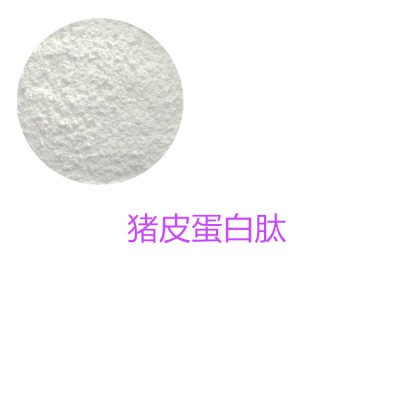 猪皮胶原蛋白 猪皮蛋白 猪皮多肽 猪皮蛋白肽