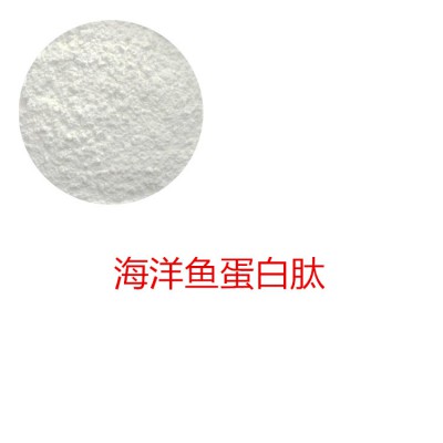 海洋鱼蛋白 海洋鱼蛋白肽 海洋鱼多肽 海洋鱼小分子肽