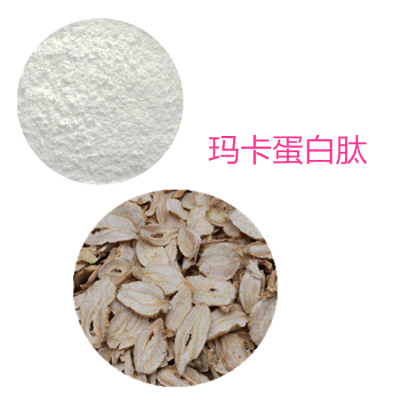 玛卡蛋白 玛卡蛋白肽 玛卡多肽 玛卡小分子肽