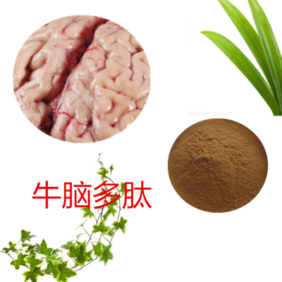 牛脑蛋白肽 牛脑多肽 牛脑小分子肽 牛脑蛋白