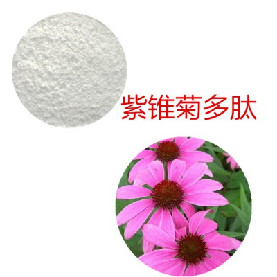 紫锥菊蛋白肽 紫锥菊多肽 紫锥菊小分子肽 紫锥菊蛋白