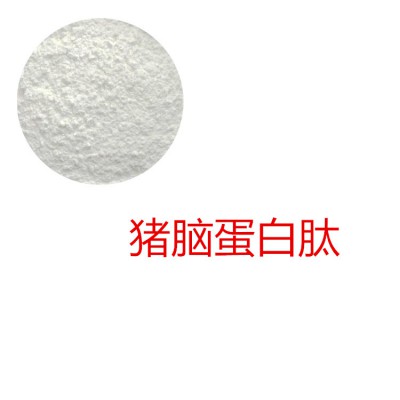 猪脑蛋白肽 猪脑多肽 猪脑小分子肽 猪脑蛋白