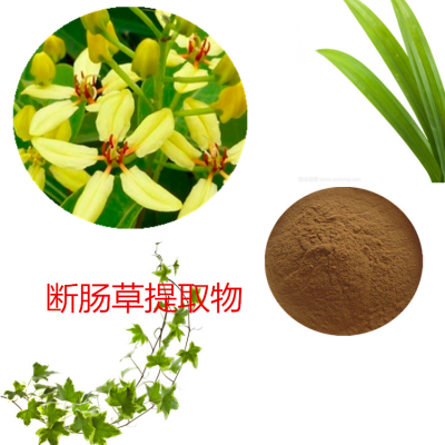 断肠草提取物 断肠草粉 断肠草速溶粉 断肠草浸膏粉