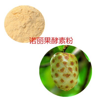 诺丽果酵素粉  诺丽果粉  诺丽果膳食纤维