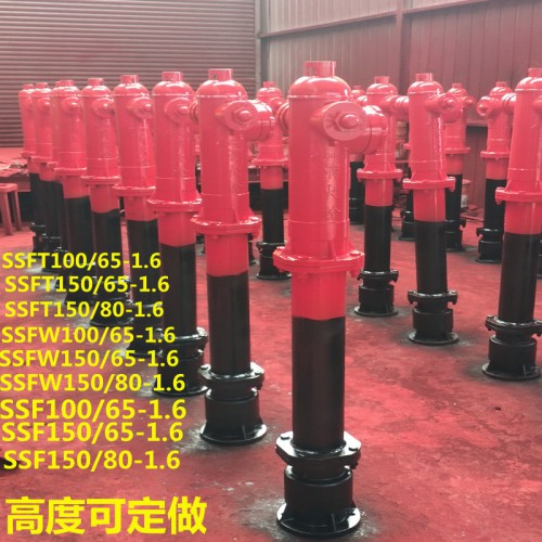 SSFT100/65-1.6防冻防撞消火栓 泡沫消火栓