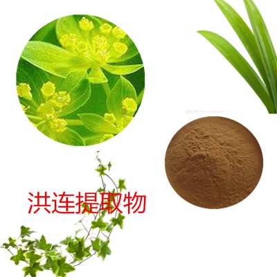 洪连提取物 洪连粉 洪连速溶粉 洪连浸膏粉