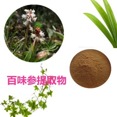 百味参提取物 百味参粉 百味参速溶粉 百味参浸膏粉