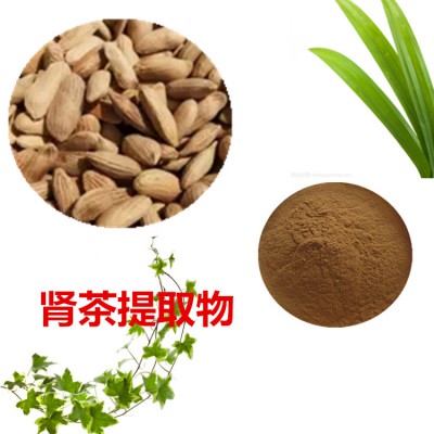 肾茶提取物 肾茶粉 肾茶速溶粉 肾茶浸膏粉