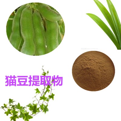 猫豆提取物 猫豆粉 猫豆速溶粉 猫豆浸膏粉