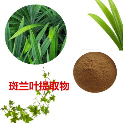 斑兰叶提取物 斑兰叶粉 斑兰叶速溶粉 斑兰叶浸膏粉