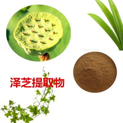 泽芝提取物 泽芝粉 泽芝速溶粉 泽芝浸膏粉