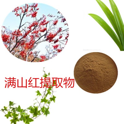 满山红提取物 满山红粉 满山红速溶粉 满山红浸膏粉