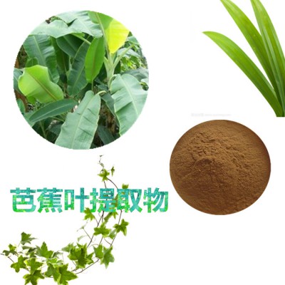 芭蕉叶提取物 芭蕉叶粉 芭蕉叶速溶粉 芭蕉叶浸膏粉