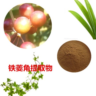 铁菱角提取物 铁菱角粉 铁菱角速溶粉 铁菱角浸膏粉