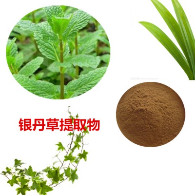 银丹草提取物 银丹草粉 银丹草速溶粉 银丹草浸膏粉
