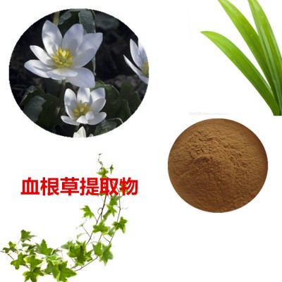 血根草提取物 血根草粉 血根草速溶粉 血根草浸膏粉