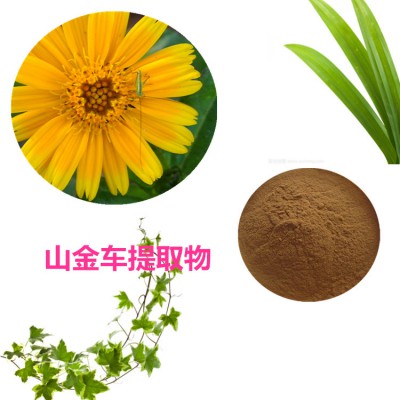 山金车提取物 山金车粉 山金车速溶粉 山金车浸膏粉