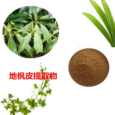 地枫皮提取物 地枫皮粉 地枫皮速溶粉 地枫皮浸膏粉