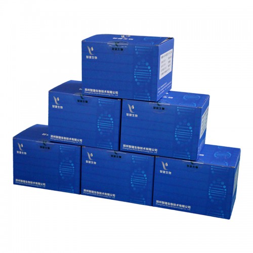 核酸提取或纯化试剂 未分装试剂