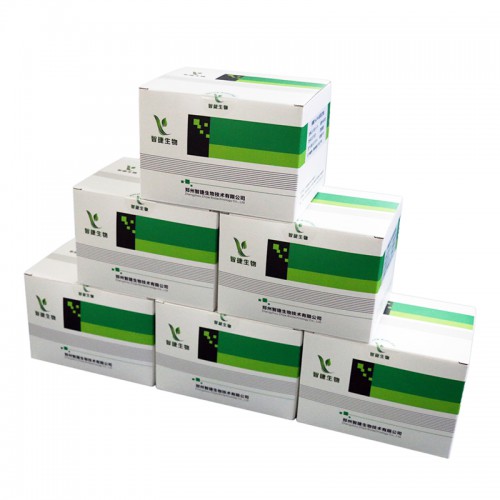 核酸提取或纯化试剂 预分装试剂