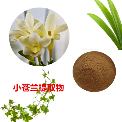 小苍兰提取物 小苍兰粉 小苍兰速溶粉 小苍兰浸膏粉