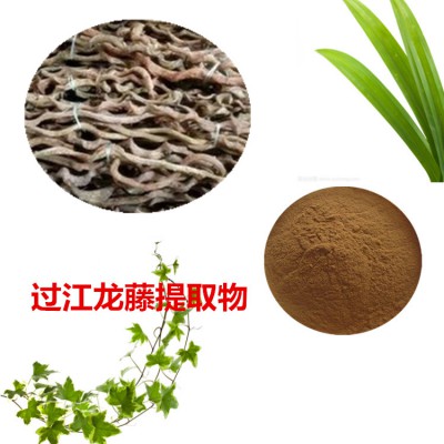 过江龙藤提取物  过江龙藤速溶粉 过江龙藤浸膏粉