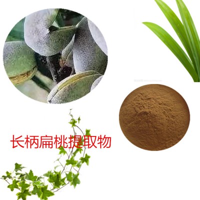 长柄扁桃提取物  长柄扁桃速溶粉 长柄扁桃浸膏粉