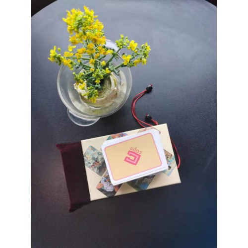 心理实战培训20节课（心理小白实战训练营）