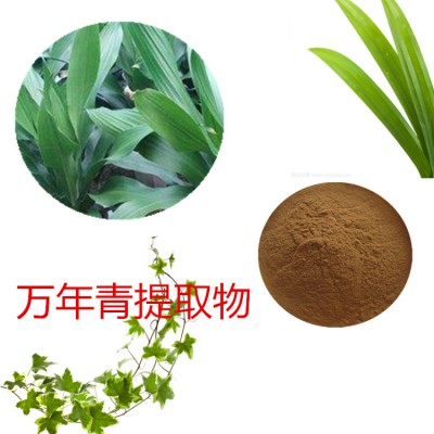 虎眼万年青提取物  万年青速溶粉 万年青浸膏粉