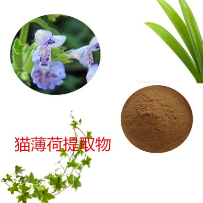 猫薄荷提取物 猫薄荷速溶粉 猫薄荷浸膏粉