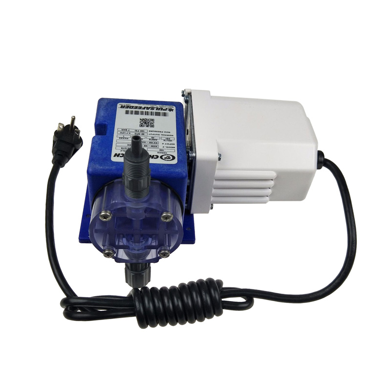 Summer beach concept